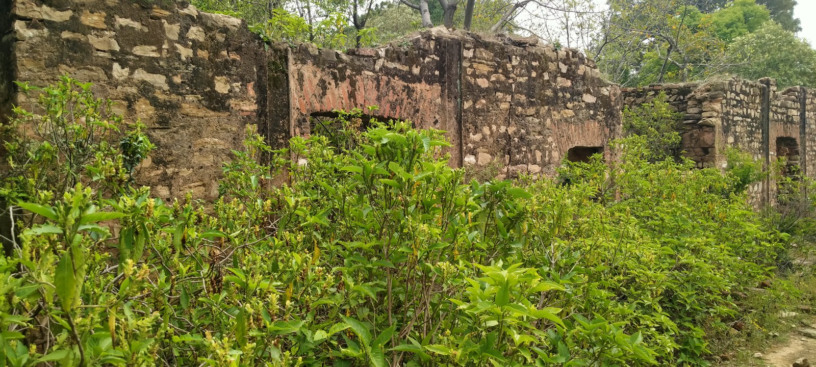 Travel Photo